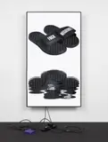 Cory Arcangel, FN Slides / Lakes, 2016, 1920x1080 H.264/MPEG-4 Part 10 looped digital file (from 11 lossless TIFS), media player, 75” flatscreen, armature and various cables