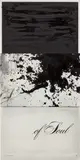 Lorna Simpson, Three Part Soul