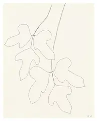 Leaves by Ellsworth Kelly, 1969, ink on paper, sold Sep 2018