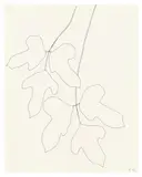 Ellsworth Kelly, Leaves, 1969, ink on paper