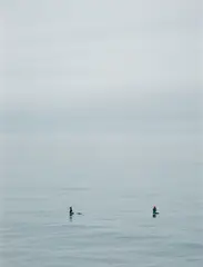 Surfer for One Drop by Catherine Opie, 2018, pigment print, sold Sep 2018