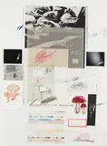 Cy Twombly, Natural History Part I Mushrooms: No. X, 1974, Lithograph with collotype in colors with collage and touches of hand-coloring, on Rives Couronne paper, the full sheets