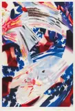 James Rosenquist, Stars and Stripes at the Speed of Light