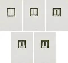 Focus I-V by Brice Marden, 1979, The complete set of five etchings and aquatint in colors, on handmade Twinrocker paper, with full margins, all contained, sold Apr 2018