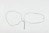 Locust (Acacia), from Suite of Plant Lithographs by Ellsworth Kelly, 1965-66, Lithograph, on Rives BFK paper, with full margins, sold Apr 2018