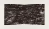 Ellsworth Kelly, Black (Texture)
