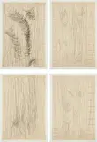 Günther Förg, Hatching, 1989, Four etchings, with chine collé to Hahnemüle Bütten paper, with full margins, all contained in the original cloth-covered portfolio