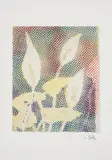 Sigmar Polke, Calla, 1996, Offset lithograph in colors, on smooth offset paper, with full margins