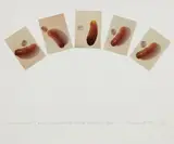 John Baldessari, Five Pickles (With Fingerprints) in the Shape of a Hand, from Artists & Photographers, 1975, Five color photographs, mounted to one sheet of German Etching paper (as issued), the full sheet