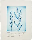 Louise Bourgeois, Untitled (Holiday Laurel), 2004, Drypoint in blue, on heavy wove paper, with full margins