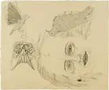 Kiki Smith, Ginzer and the Birds, 1996, Lithograph with collage, on Japanese paper, the full sheet