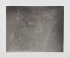Untitled (Web #4) by Vija Celmins, 2002, Photogravure with aquatint, burnishing and drypoint, on Hahnemühle Copperplate paper, with full margins, sold Apr 2018