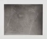 Vija Celmins, Untitled (Web #4), 2002, Photogravure with aquatint, burnishing and drypoint, on Hahnemühle Copperplate paper, with full margins
