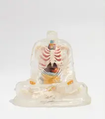 Michael Joo, Small Vitrine, 2000, Multiple of plastic anatomical model
