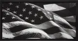 Untitled (Flag) by Robert Longo, 2013, Archival pigment print, on Epson Hot-Pressed paper, the full sheet, sold Apr 2018