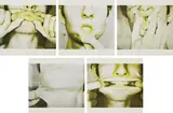 Bruce Nauman, Studies for Holograms, 1970, The complete set of five screenprints in colors, all on Kromekote paper, the full sheets