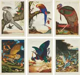 Walton Ford, Swadeshi-cide, 1998; La Historia Me Absolvera, 1999; Benjamin's Emblem, 2000; Tale of Johnny Nutkin, 2001; Compromised, 2003; and Visitation, 2004, The complete series of six etchings in colors, on Somerset Satin paper, with full margins