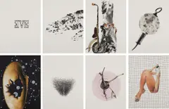 Wangechi Mutu, Eve, 2006, The complete set of seven etchings and aquatint with collage, on Surface Gampi paper mounted to musuem board (as issued), the full sheets, all contained in the original zebrawood box with title page and justification