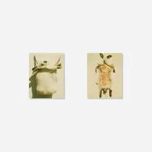 Barbara Crane, Untitled (diptych) (from the Tucson Portfolio II), 1980, Polaroid Polacolor II print