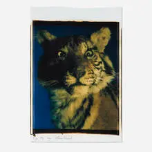 Bettina Rheims, Untitled, 1985, unique large-format Polaroid Polacolor print