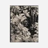 Laura McPhee and Virginia Beahan, Palm Trees, Hawaii, 1991, polytoned gelatin silver print from Polaroid Positive/Negative 4 x 5 film