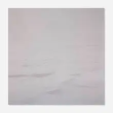 Darren Almond, Arctic Plate 11, 2003, C-print mounted to aluminum