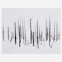 Darren Almond, 69th Parallel 2, 2005, gelatin silver print mounted to aluminum