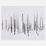 Darren Almond, 69th Parallel 2, 2005, gelatin silver print mounted to aluminum
