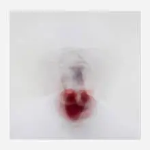 Roni Horn, Untitled, 2003, C-print mounted to acrylic
