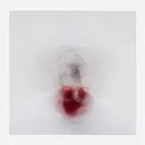 Roni Horn, Untitled