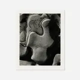 Cole Weston, Rock Erosion, Point Lobos, 1946, vintage gelatin silver print