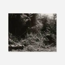 Robert Adams, Bulldozed Slash, Tillamook County, Oregon and From the Missouri West: Photographs
