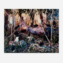Gregory Crewdson, Untitled (leg and mice), 1996, C-print