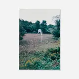 Richard Prince, Untitled (The Girl Next Door), 1996-99, Ektacolor print