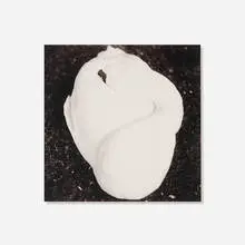 Keith Carter, Sleeping Swan, 1995, gelatin silver print