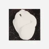 Keith Carter, Sleeping Swan, 1995, gelatin silver print