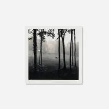 Michael Kenna, Le Désert de Retz, Study 37, France, sepia toned gelatin silver print