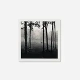Michael Kenna, Le Désert de Retz, Study 37, France, sepia toned gelatin silver print