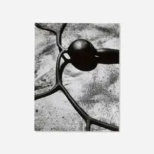 Brett Weston, Kelp (from the Baja California portfolio), 1969, vintage gelatin silver print