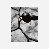 Brett Weston, Kelp (from the Baja California portfolio), 1969, vintage gelatin silver print