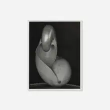 Edward Weston, Shells, gelatin silver print