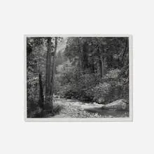 Ansel Adams, Tenaya Creek, Dogwood, Rain Yosemite National Park, California, gelatin silver print
