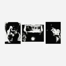 Eikō Hosoe, Three works (from the Ordeal by Roses series), 1961-62, vintage gelatin silver print