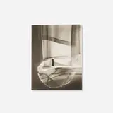 Minor White, Windowsill Daydreaming, Rochester, New York (from the Founders & Friends: Aperture at 50 portfolio), platinum palladium print