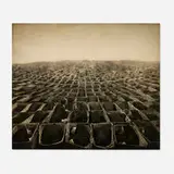 Robert ParkeHarrison, Garden of Selves