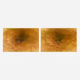 Roni Horn, Becoming a Landscape (1), 1999, C-print in two parts