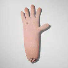 Marisol Escobar, Hand, c. 1968, pigmented plaster