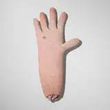 Marisol Escobar, Hand