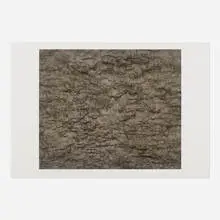 Ann Hamilton, gauge (brown), 2008, lithograph and screenprint in colors