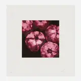 Donald Sultan, Pomegranates (from the Fruits and Flowers III series), 1994, screenprint in colors